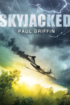 Skyjacked book cover