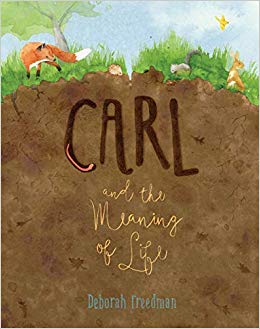 Carl and the Meaning of Life book cover